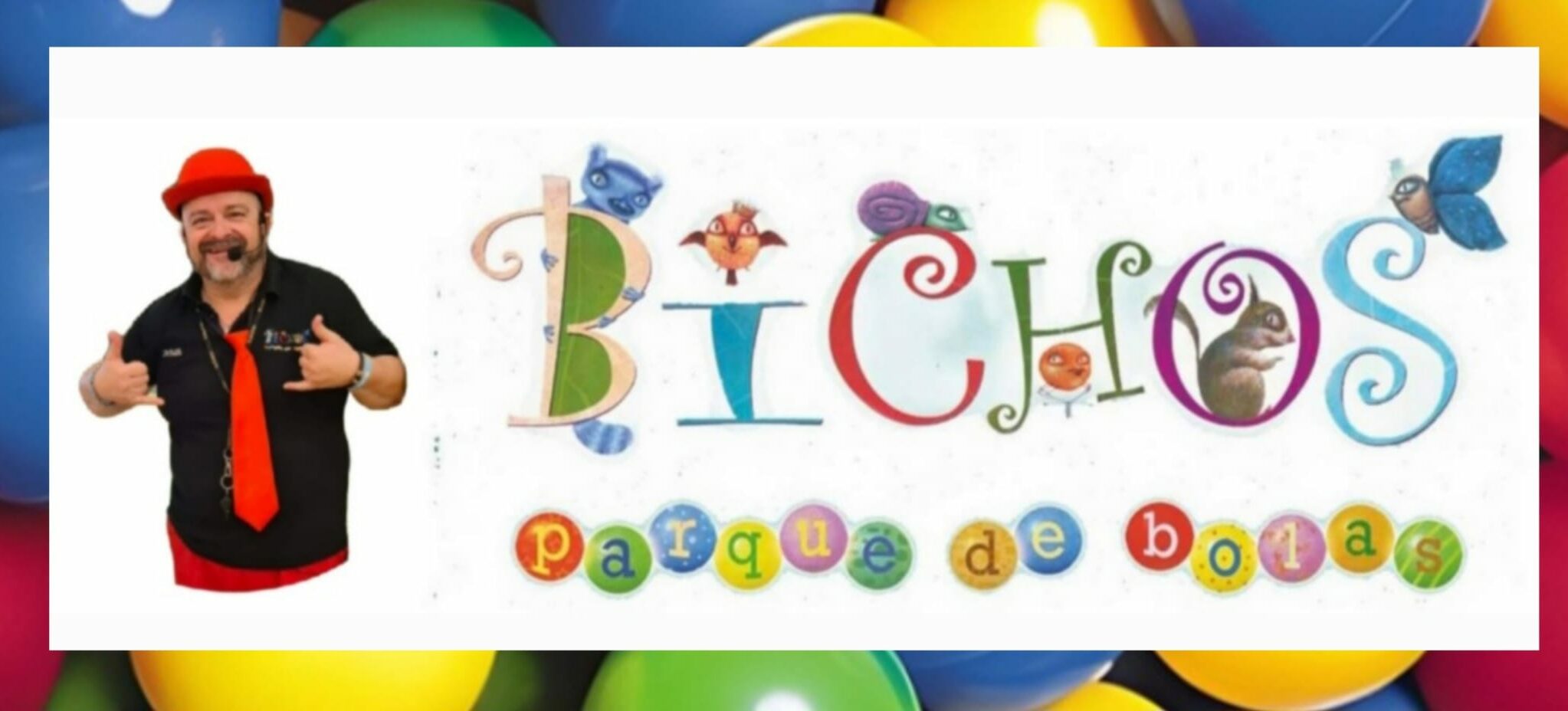 Parque de bolas BICHOS